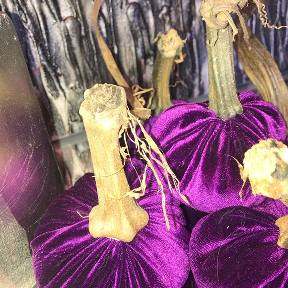 Velvet pumpkins - Picture 2 of 5